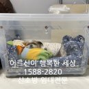 동물병원루니 | 🐾 노령견·심장병 반려동물을 위한 산소방 활용법