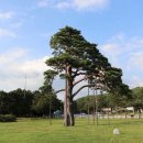 풍원농장 | 논문, 그 후📖