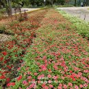 의림지-07 이미지