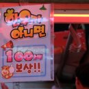 대지정육점