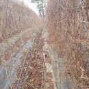 은한농장 이미지