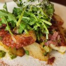 육사시미 콘서트 1 이미지