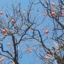 가신원통길 이미지