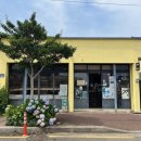 [혼행일기] 제주 보름 여행 #9 사계리 (천제연폭포, 산방산, 용머리해안, 황금초밥, 어떤바람, 사계해안)