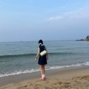 [소비기록] 6월 위시리스트 :: 가내스라 미키 레이스 나시, 아디다스 버뮤다 핑크 스칼렛
