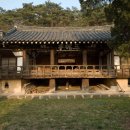삼괴정 Daum카페