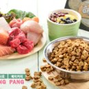 팡팡애견 이미지