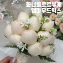 플로르_e