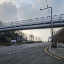 약진로변 이미지