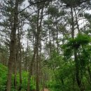 의정부행정사 사무소 이미지