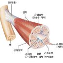 프로핏PT스튜디오