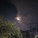 하동편백나무민박 이미지