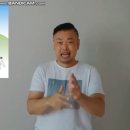 맹그러브 이미지