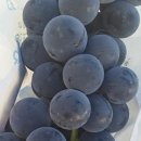 고송농장 이미지