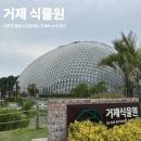 사계절꽃식물원 | 거제 가볼만한곳｜거제 여행 필수 코스 사계절 아름다운 거제 식물원 후기(한국관광 100선)