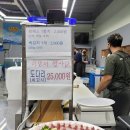 바른물회