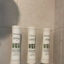 낙산비치호텔 멀티룸 이미지