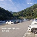 [떠나시죠] 아름다운 구절초 꽃축제 - 정읍 구절초지방공원 편 (주차 , 가격 , 후기)
