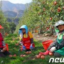 주한농장 이미지