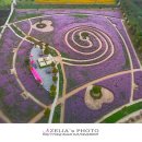 신소양체육공원1 이미지