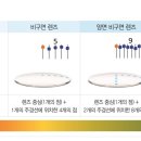 클리어뷰 이미지