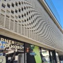 강아지 공화국 | 워너 브롱크 호스트 온 세상이 캔버스 그라운드시소 서촌 관람 후기