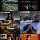 용형tv