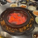 정사장네갈매기 이미지