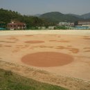 사등야구장 이미지