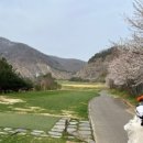 벙커구장 이미지