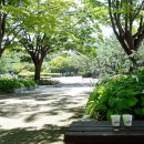 마두공원 화장실 이미지