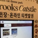 브룩스 캣 카페 | 남포동 아기랑 대형 고양이카페 브룩스캣슬 후기 - 국내최초 유럽형 프리미엄 캣 테마파크