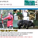 예천세계활축제-예천농산물축제 이미지