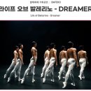 2025 발레축제-라이프 오브 발레리노, Dreamer 관람 후기, 토월 극장 2층 시야