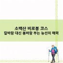 영주삼거리2 | 소백산 비로봉 코스 칼바람 대신 봄바람 부는 능선의 매력