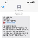 반창꼬동물병원 이미지