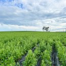 마치농장 이미지