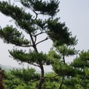 공덕농장 이미지