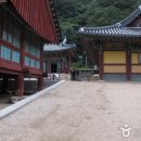 신흥사 - 1350 | 신흥사