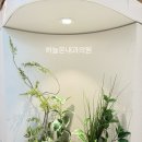 즐거운내과의원 이미지