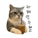 고양이사랑채 이미지