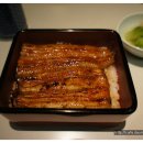 참새공원 Daum카페
