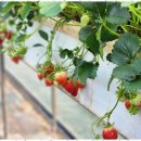 연세대태권도 - 시흥시 은계번영길 28 | 연세대태권도