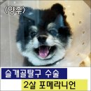 삼송사랑 동물의료센터 이미지