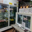 꽃순이 | [행복한 꽃순이] 강릉점 후기💐 깜짝 꽃이벤트 준비했어요