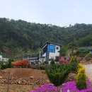 욕지별장 이미지