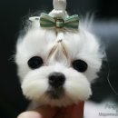 가나다펜션 이미지