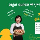 하루경영연구소 이미지