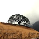산솔면-2(솔고개공원내) | 영월 타운투어리즘[8], 산솔면과 상동읍 톺아보기(두위봉산소길,김어수공원,선바우산,칠랑이계곡,꼴두바위)