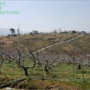 화양읍사무소 이미지